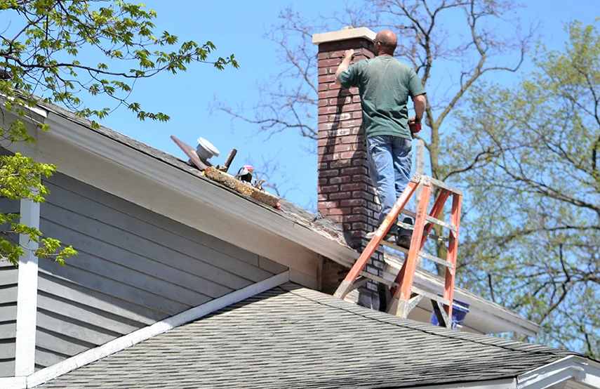 Chimney & Fireplace Inspections Services in Wekiwa Springs, FL